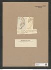 Stictodiscus rota Grev. (de-Toni-Nr.: Genus 205, Species 5220) Zeichnungen Sammlung Grunow Nr. 9009 (NHMW-BOT-W0378716)